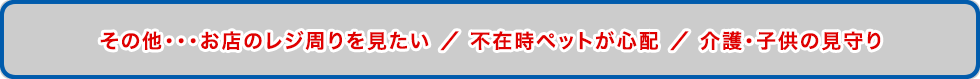 その他・・・お店のレジ周りを見たい ／ 不在時ペットが心配 ／ 介護・子供の見守り