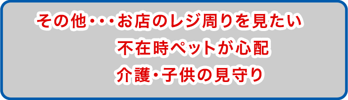 その他・・・お店のレジ周りを見たい ／ 不在時ペットが心配 ／ 介護・子供の見守り